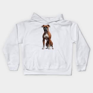 Boxer Dog Kids Hoodie